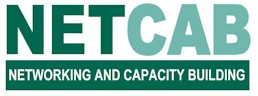 NETCAB.jpg (10923 bytes)